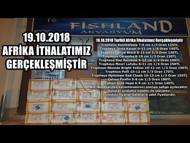 19.10.2018 TARİHLİ 2.AFRİKA İTHALATIMIZ GERÇEKLEŞMİŞTİR