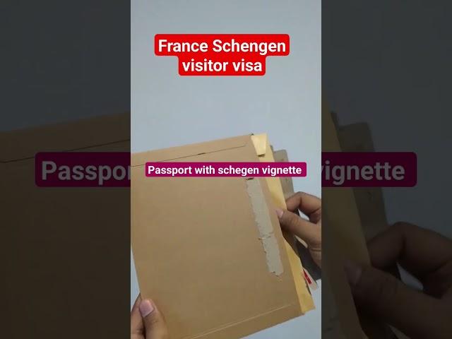 received France Schengen visitor visa | what's inside | warning | Europe travel | timeline |duration