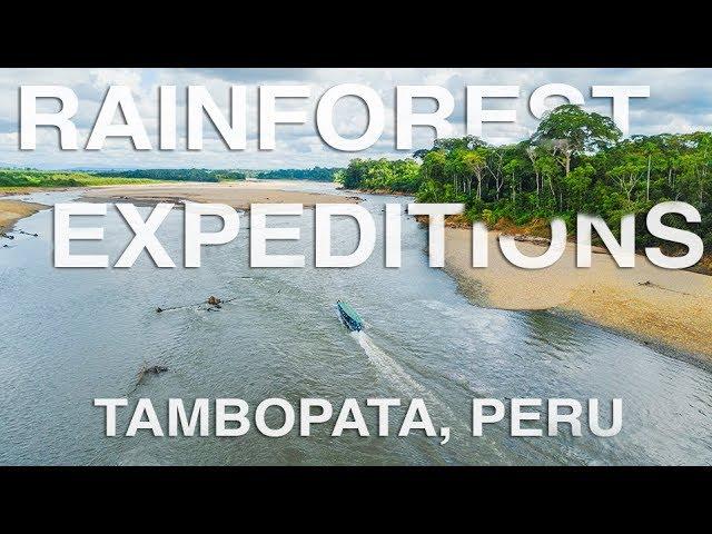 Rainforest Expeditions, Tambopata, Peru