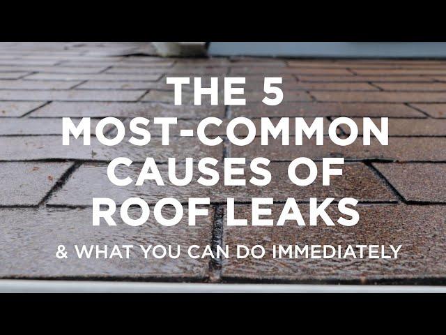 The Five Most–Common Causes of Roof Leaks – And What You Can Do