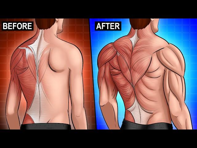 5 Steps to Get a RIPPED Back