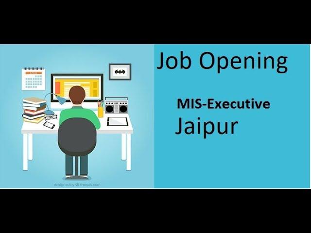 MIS Executive in Miracle Coro Plast Pvt. Ltd. Jaipur Job Opening