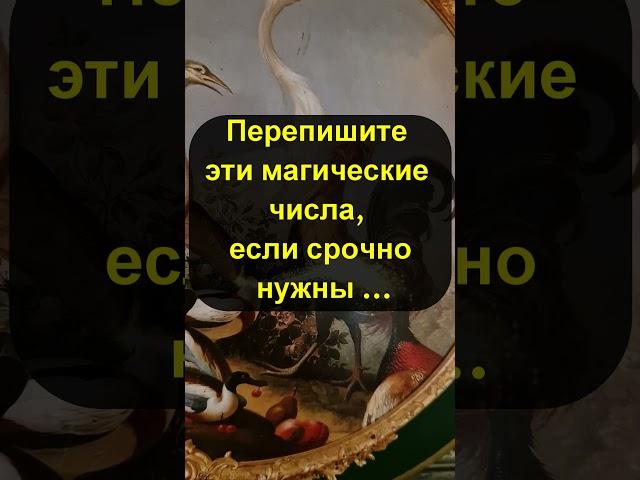 Ахнете! Перепишите эти магические числа, если срочно нужны деньги