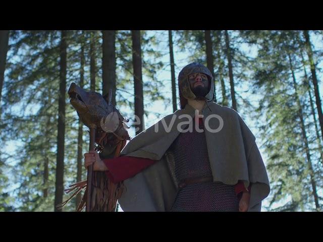 Warrior with the Dacian Draco | Stock Footage - Envato elements