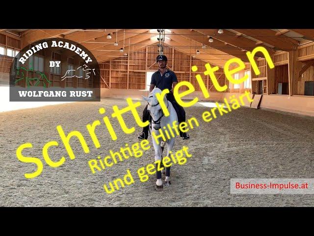 F3 Die Reiterhilfen und die Bewegung beim Schritt Reiten in Zeitlupe genau erklärt. Pferde reiten