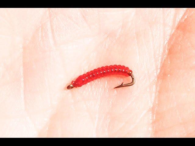 Midge Ribbed Annelid - Learn to tie this nymph type trout fly - Super easy!