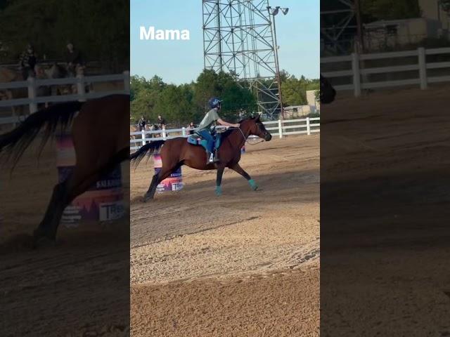 Haters Suck #missy #barrelracing #horse #arabian #barrelracerlife #arabians #rescue #haters