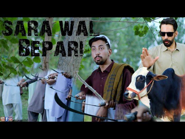 Sara wal Bepari | Buner Vines