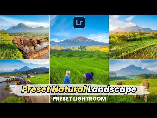 FREE 50 + PRESET LIGHTROOM TERBARU 2023 | PRESET LANDSCAPE | PRESET LIGHTROOM