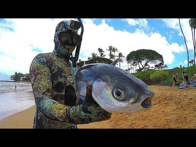 Spearfishing Hawaiian Style - Big Catch!!