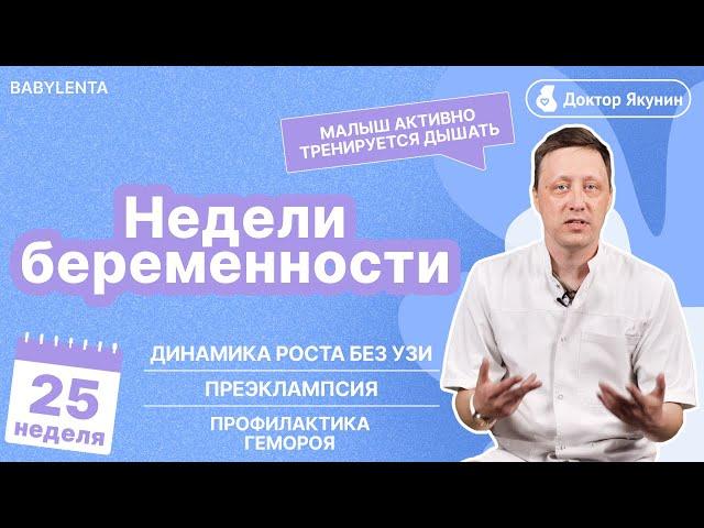 25 неделя беременности как выглядит ребенок, что происходит, УЗИ, шевеления, преэклампсия, геморрой