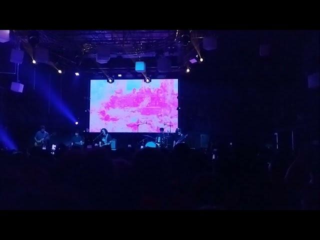 Niños del Cerro - Tembló- live debut (Canción nueva) Blondie 28 de diciembre 2024