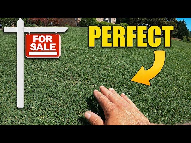 Fast Thick Green Bermuda Lawn NOW is the Time