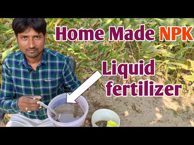 How to make NPK FERTILIZER at home, Liquid fertilizer,Rn kushwaha