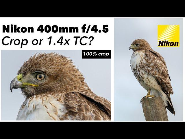 Nikon Z 400mm f/4.5 - Crop or use the 1.4x Teleconverter?