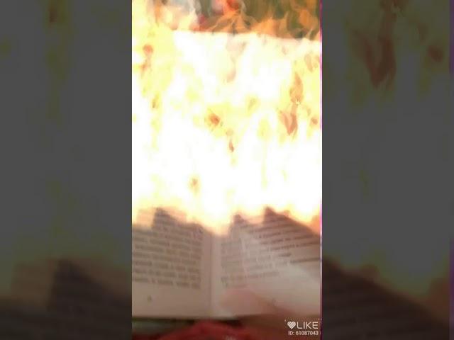 Ай книга горит!