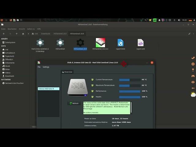 Hard Disk Sentinel Linux GUI (Graphical User Interface)