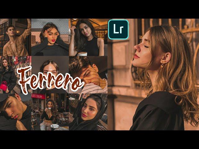 Lightroom Mobile Presets Free DNG | How To Edit Dark Brown Tone In Lightroom | FERRERO PRESET