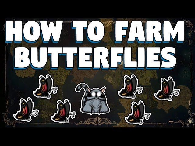 How To Farm Butterflies in Don't Starve Together - How To Make a Butterfly Farm in Don't Starve