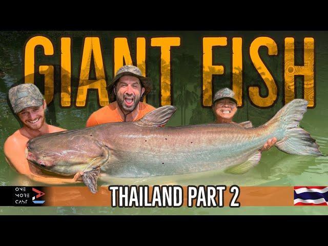 GIANT FISH Thailand Part 2 | Ali Hamidi | Siamese Carp, Mekong Catfish and MORE | One More Cast