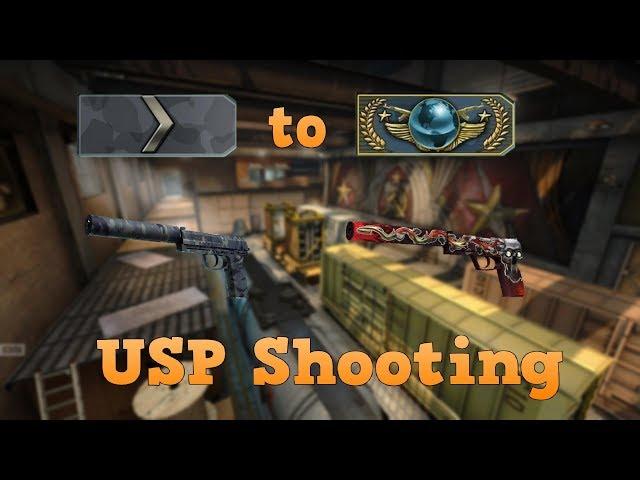 Silver 1 to Global Elite  USP shooting CSGO