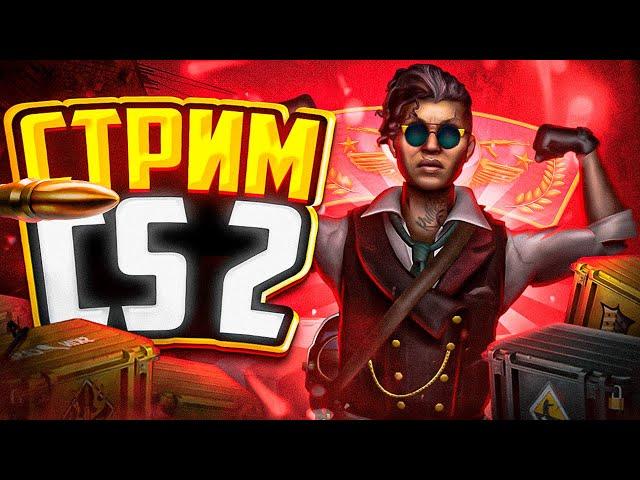 ИГРАЕМ НОВЫЙ FACEIT 2 / СТРИМ КС2 #cs2 #counterstrike #стрим