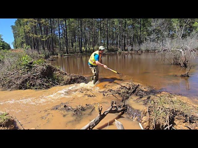 Unclogging Really Big Drain And Beaver Dam Removal Releasing Flood Of Water