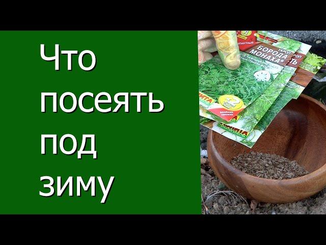 Что посеять под зиму