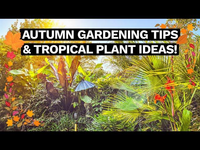 Mark's Crazy Tiki Garden - Autumn Tropical Garden & Greenhouse Tour