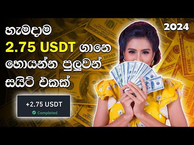 How to earn money online Sinhala sri lanka 2024 | E - money new site | Online part time jobs