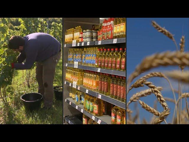 FAO: Preços dos alimentos mantêm queda em setembro | AFP