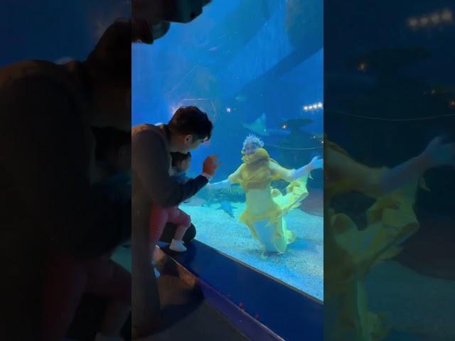 Mermaid Cium Anaknya Dari Dalam Aquarium