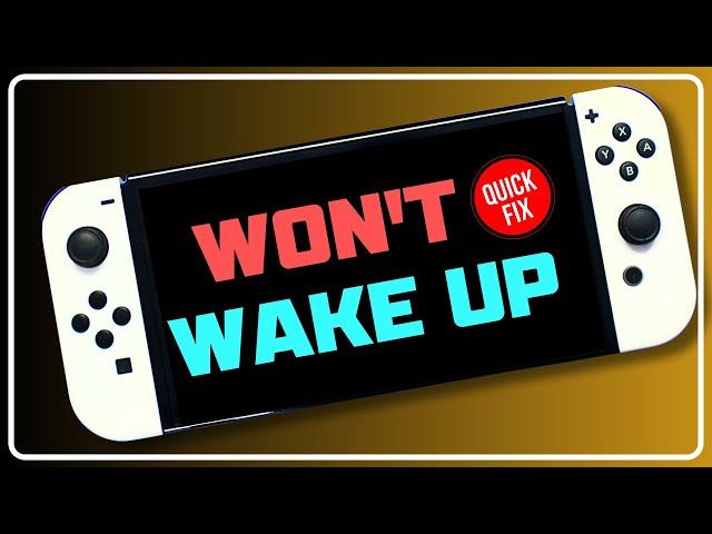 Nintendo Switch Stuck in Sleep Mode || Nintendo Switch Won't Wake Up From Sleep [5 TIPS]