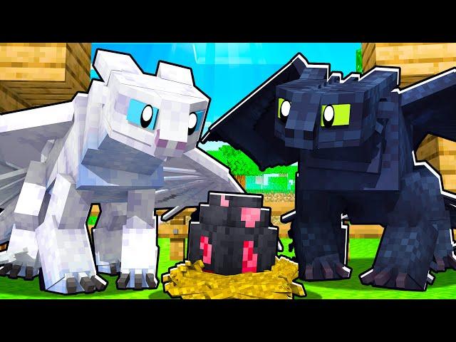 The New Dragon Family! - Minecraft Dragons