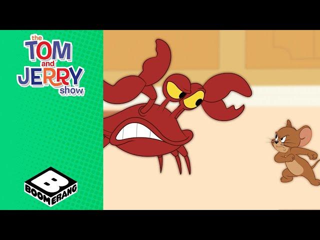 Tom and Jerry Vs The Crabs | Tom & Jerry | @BoomerangUK