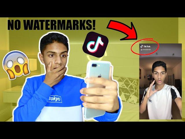 HOW TO SAVE TIK TOK VIDEOS WITHOUT THE WATERMARK!