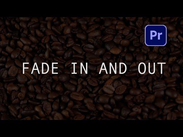 How to Fade In and Out A Video in Premiere Pro 2024