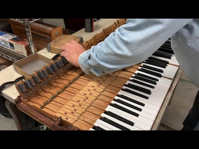 Steinway O Grand Regulation from 1903: Grand Purpose Piano