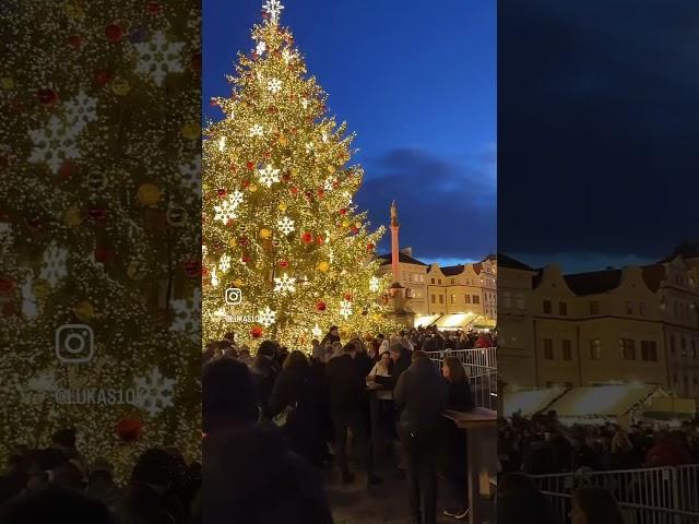 Praha 2024 Vánoční období