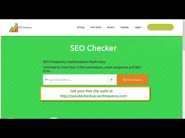 SEO SITE CHECKUP