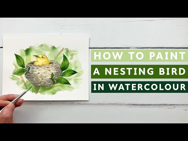 How To Paint A Nesting Bird In Watercolour