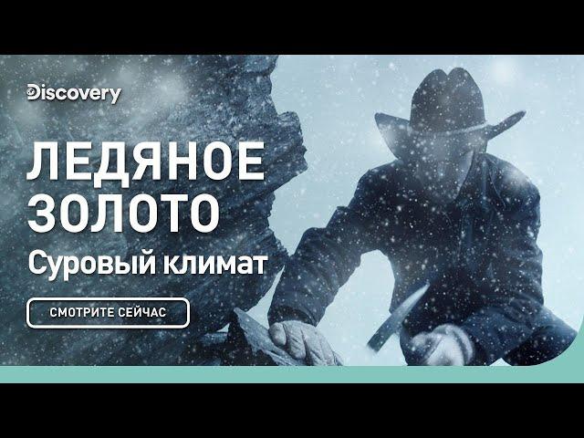 Суровый климат | Ледяное золото | Discovery