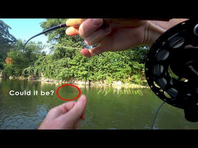 Guadalupe River FLY Fishing - Did I really just catch that?! - McFly Angler Episode 54