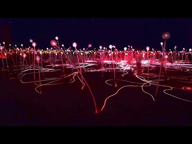 Bruce Munro: Field of Light Uluru (Ayers Rock) - Night Tour on 4K HDR