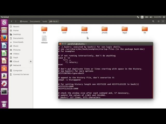 Install Java / OpenJDK on Linux and Add it to Path