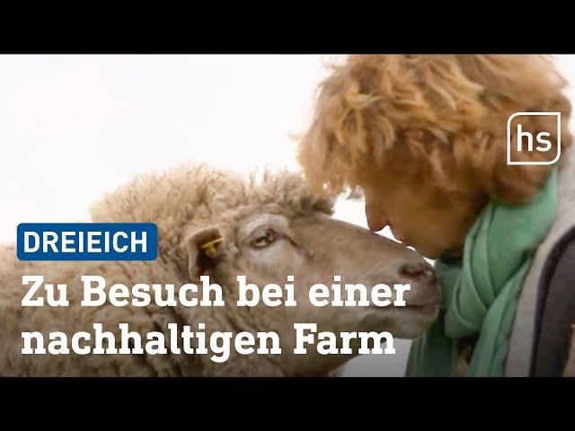 Das erlebt Sybille Ruppersberg auf ihrer nachhaltigen Farm "Five Sheep" in Dreieich | hessenschau