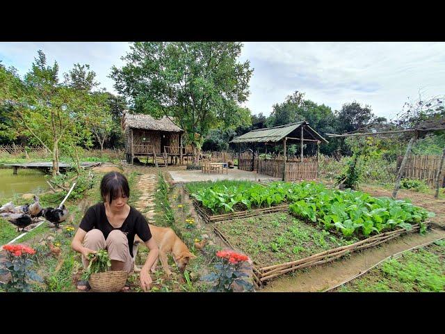 Full Video: 100 days of taking over Trai's garden, renovating the garden, raising livestock.