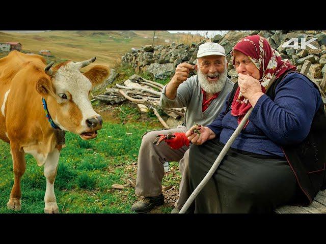 The Last Residents of the Silent Mountains | Documentary Film