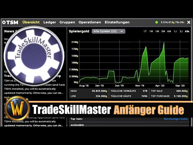 TradeSkillMaster Anfänger Guide