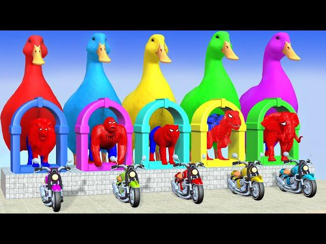 Long Slide Game With Elephant Gorilla Buffalo Hippopotamus Tiger 3d Animal Game Funny 3d Animals